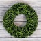 Nature Spring Boxwood Wreath, Artificial Wreath for the Front Door, Home Decor, UV Resistant - 16.5 Inches 690054AEN - alternate 1